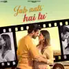 Jab Aati Hai Tu - Single album lyrics, reviews, download