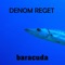 Baracuda - Denom Reget lyrics