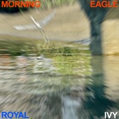 Morning Eagle - War of Roses