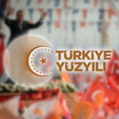 Türkiye Yüzyili (Live) artwork
