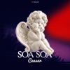 Soa Soa (Remix) - Single