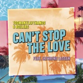 Can't Stop the Love (feat. Cathrine Lassen) artwork