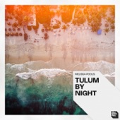 Tulum by Night artwork