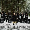 Bine fac, rele primesc - Single