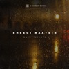 Bheegi Raatein (Rainy Nights) - Single