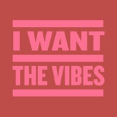 I Want the Vibes (Extended Mix) artwork