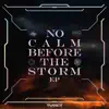 No Calm Before the Storm - EP album lyrics, reviews, download