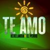 Te Amo - Single
