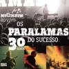 Multishow Ao Vivo - Os Paralamas Do Sucesso 30 Anos (Deluxe)