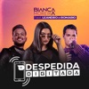 Despedida Digitada (feat. Leandro & Romário) - Single