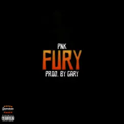 Fury - Single by PNK album reviews, ratings, credits