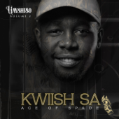 Umshiso, Vol. 2 - Kwiish SA