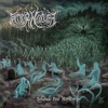Solitude Post-Mortem