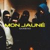 Mon jauné - Single