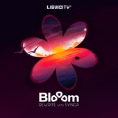 Blooom - Your Love