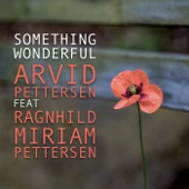 Something Wonderful (feat. Ragnhild Miriam Pettersen) artwork