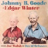 Johnny B. Goode (feat. Joe Walsh & David Grissom) - Single