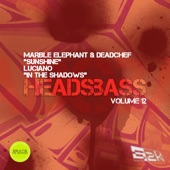 Headsbass Volume 12 - Part Two - Single