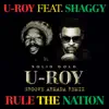 Stream & download Rule The Nation (feat. Shaggy) [Groove Armada Remix] - Single