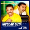 Nicolae Guta, Vol. 25, 2006