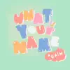 What's Your Name Again - Single album lyrics, reviews, download