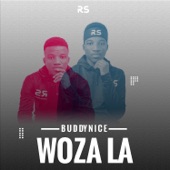 Woza La (Redemial Mix) artwork