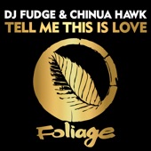 Tell Me This Is Love (Vocal Mix) artwork