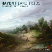 Haydn: Piano Trios artwork