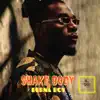 SHAKE BODY (feat. BURNA BOY) - Single album lyrics, reviews, download