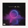 Zebraman - Swimming in the Sun