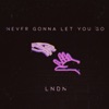 Never Gonna Let You Go - Single