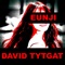 Eunji - David Tytgat lyrics