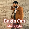 Mal Kaybı - EP