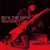 Bo Diddley - I'm a Man (Live)
