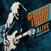 Walter Trout - I'm Back - Live