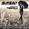 Walking the Wire - Single