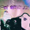 Self destruct (feat. Ruckus Flexxx) - Single album lyrics, reviews, download