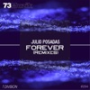 Forever (Remixes) - Single