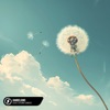 Dandelions - Single