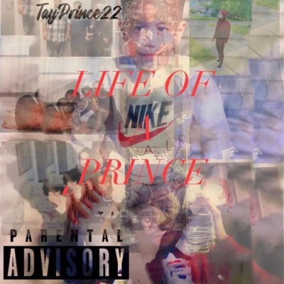 Sexyy Red Ft. Tayprince22 (Pound Town Remix) - NaiBurrHood HotBoy | Shazam