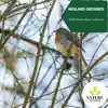 Midland Grounds - 2020 Nature Music Collection album lyrics, reviews, download