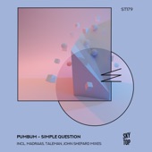 Simple Question (Madraas Extended Remix) artwork