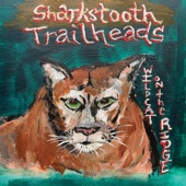 Sharkstooth Trailheads - Lightner Creek