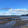 City Cat - Single album lyrics, reviews, download