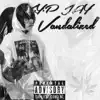Vandalized - Single album lyrics, reviews, download