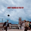 I Don’t Wanna See You Try - Single