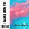 I Wanna Know You - Single