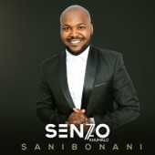 Sanibonani artwork