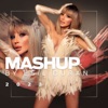 Mashup 2023 - Single
