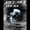 Koca Şehir - Single